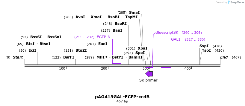 20803_map