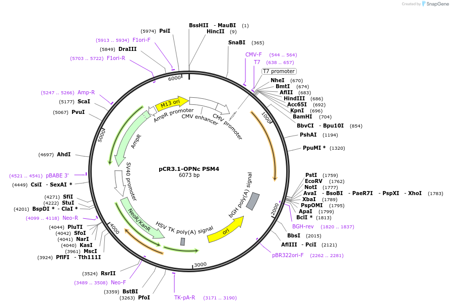 208042_map