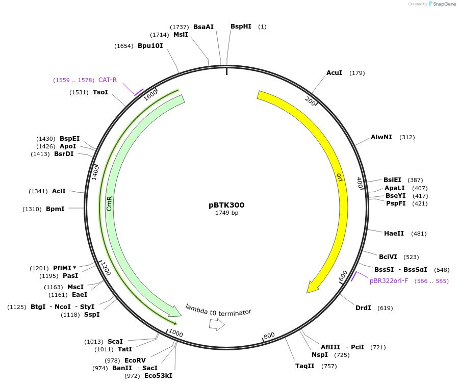 208049_map