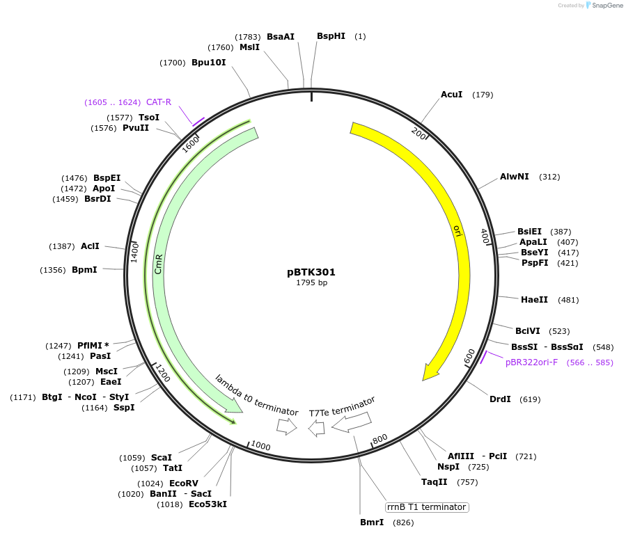 208050_map