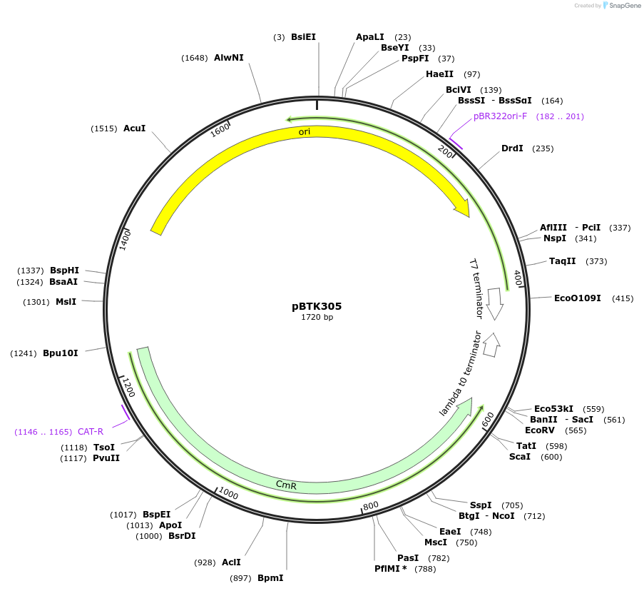 208051_map