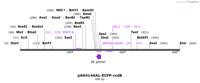20807_map