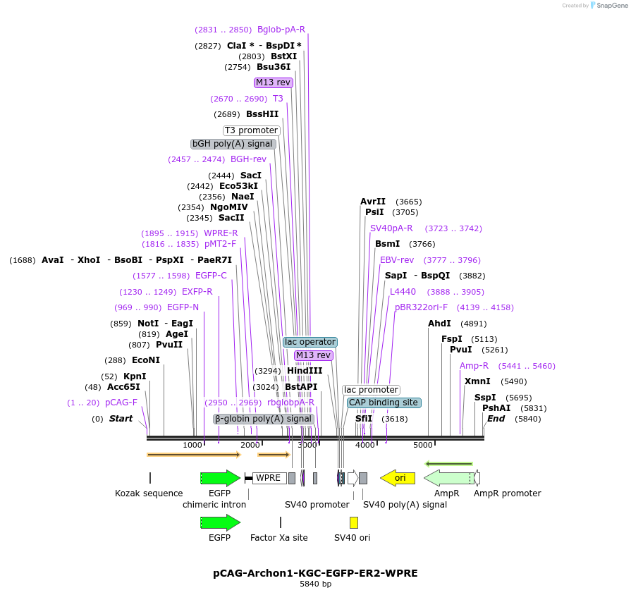 208093_map