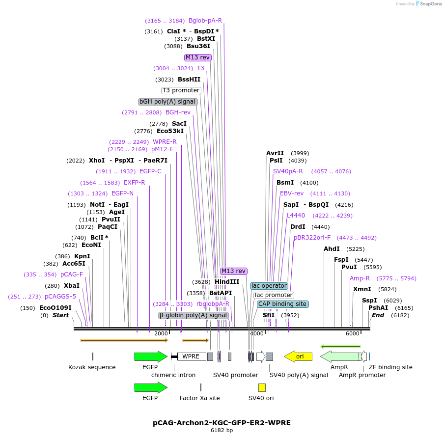 208099_map