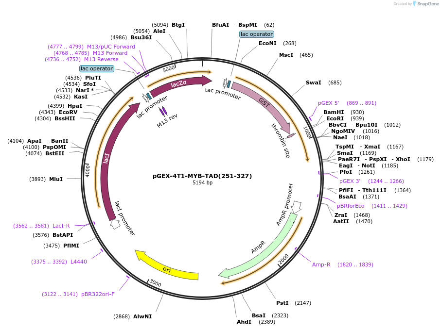 208106_map