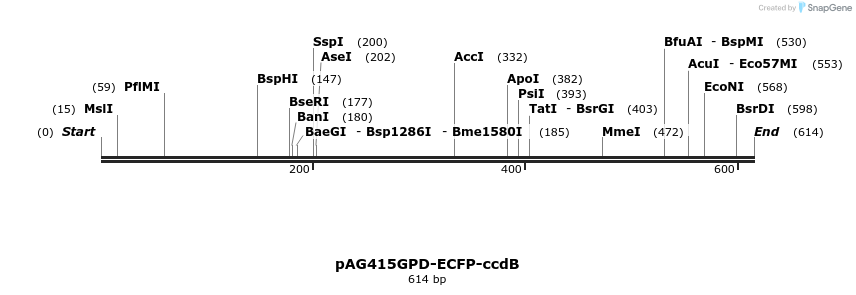 20812_map
