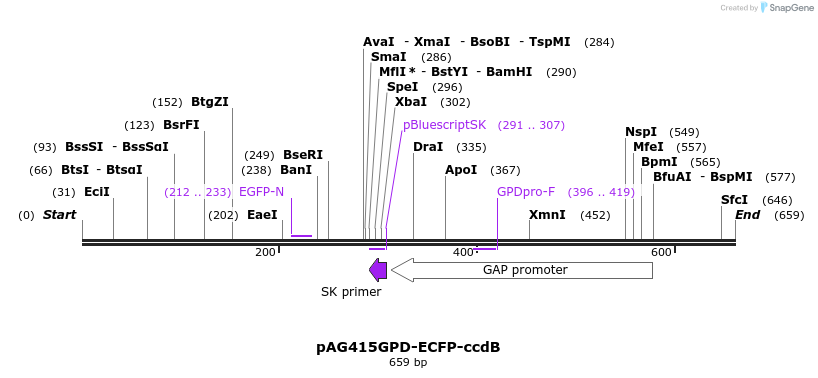 20813_map