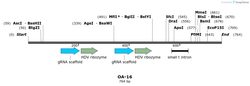 208131_map