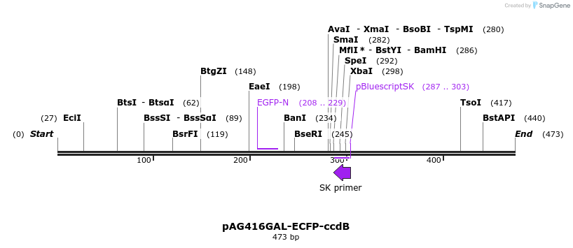 20814_map