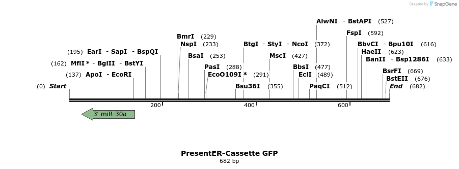 208141_map