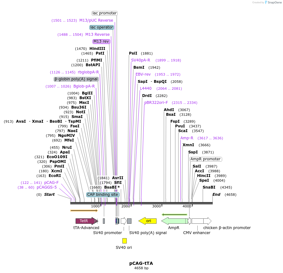 208142_map