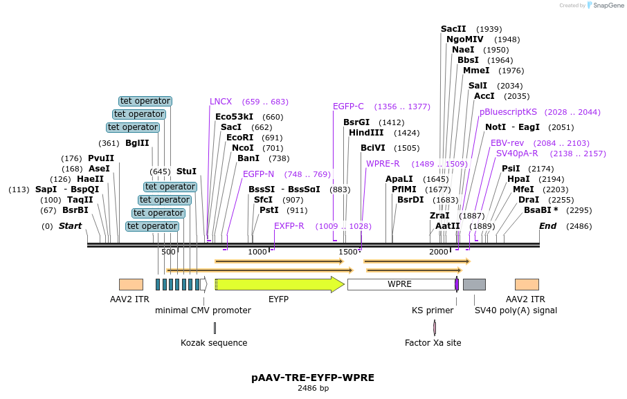 208155_map