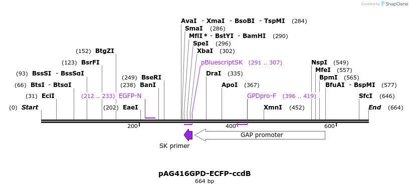 20817_map