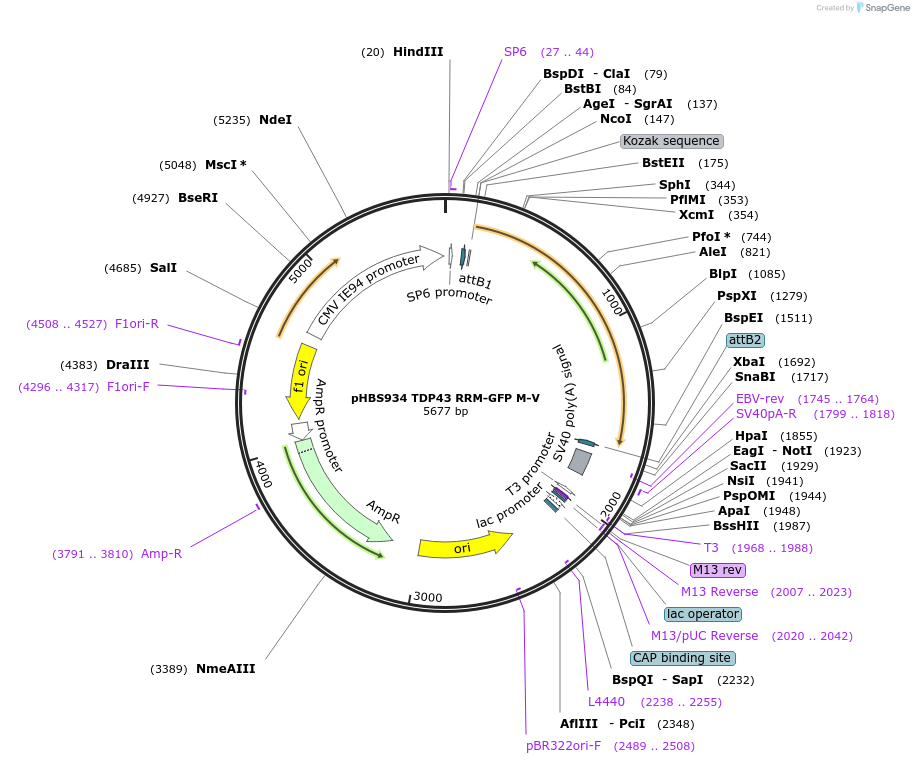 208176_map