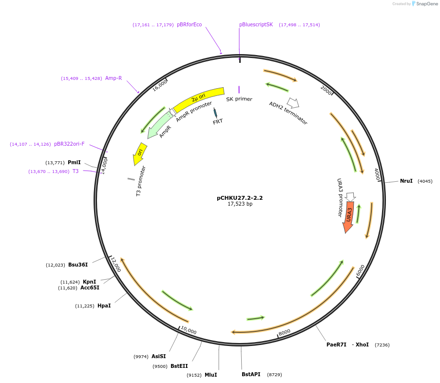 208183_map