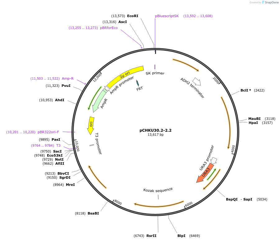 208185_map
