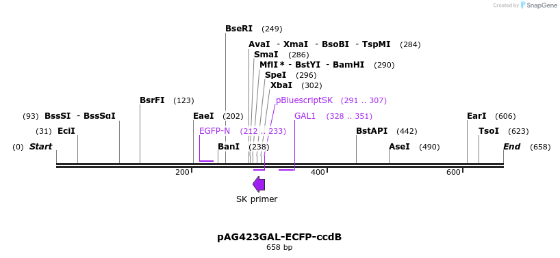 20819_map