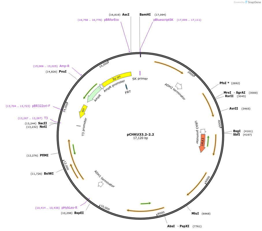 208190_map