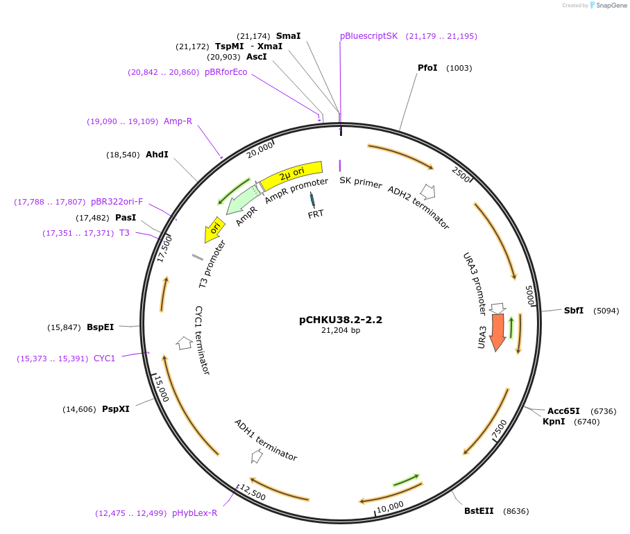 208193_map