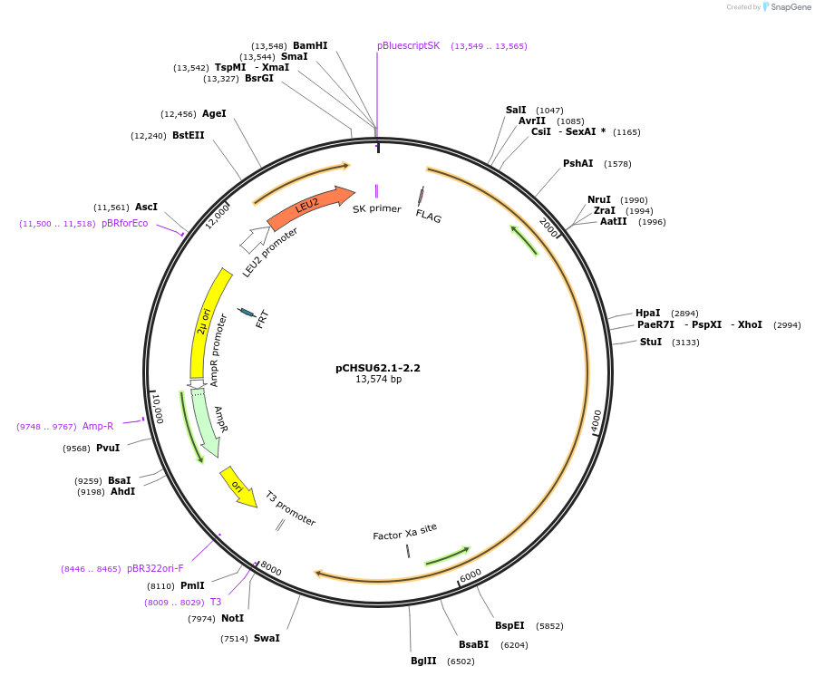 208199_map