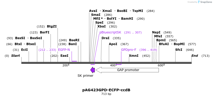 20820_map
