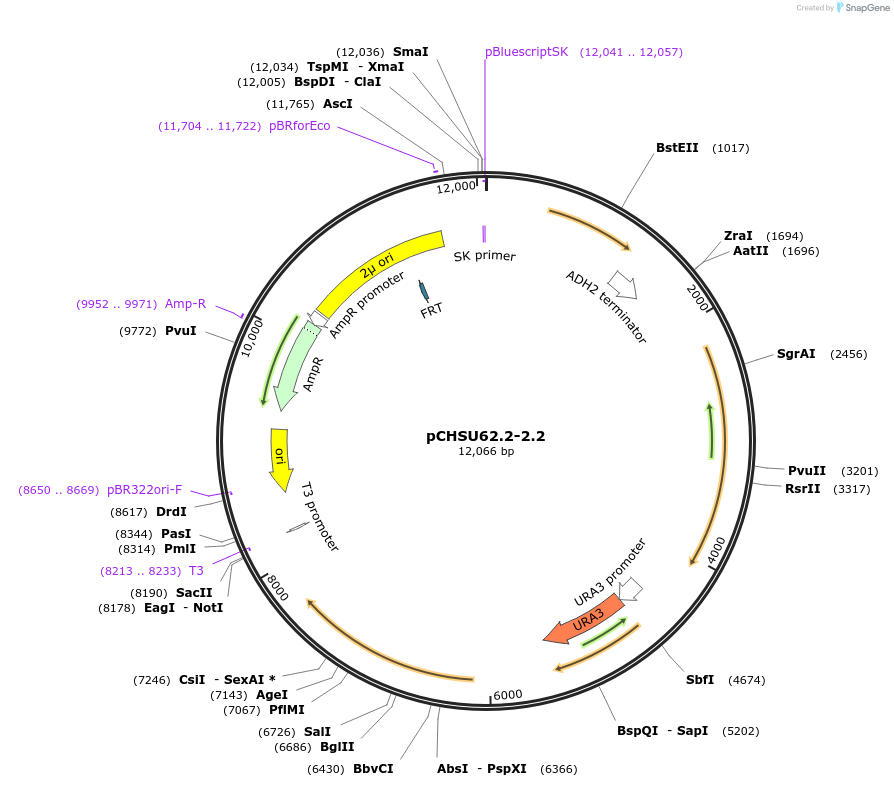208200_map
