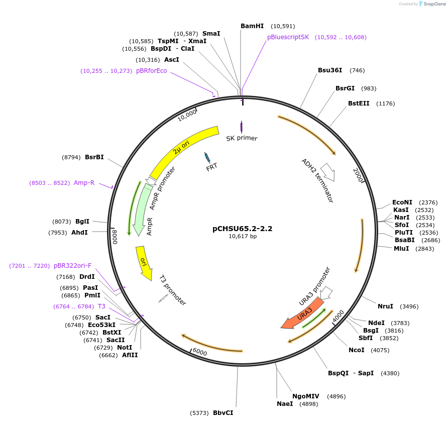 208203_map