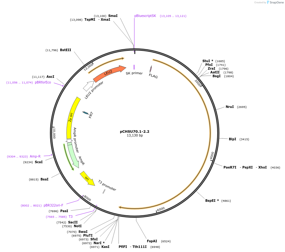 208208_map