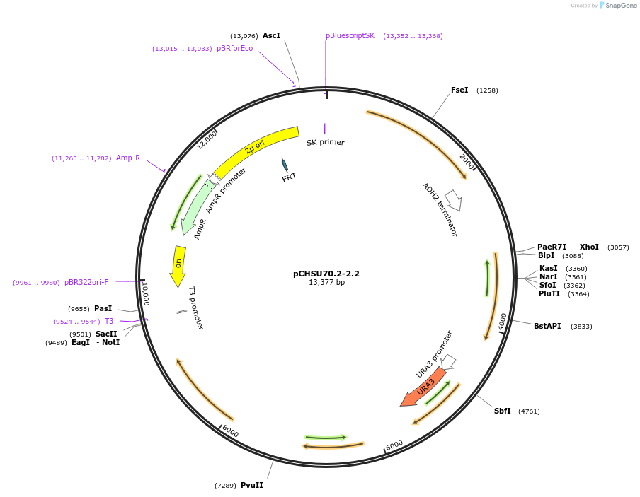 208209_map
