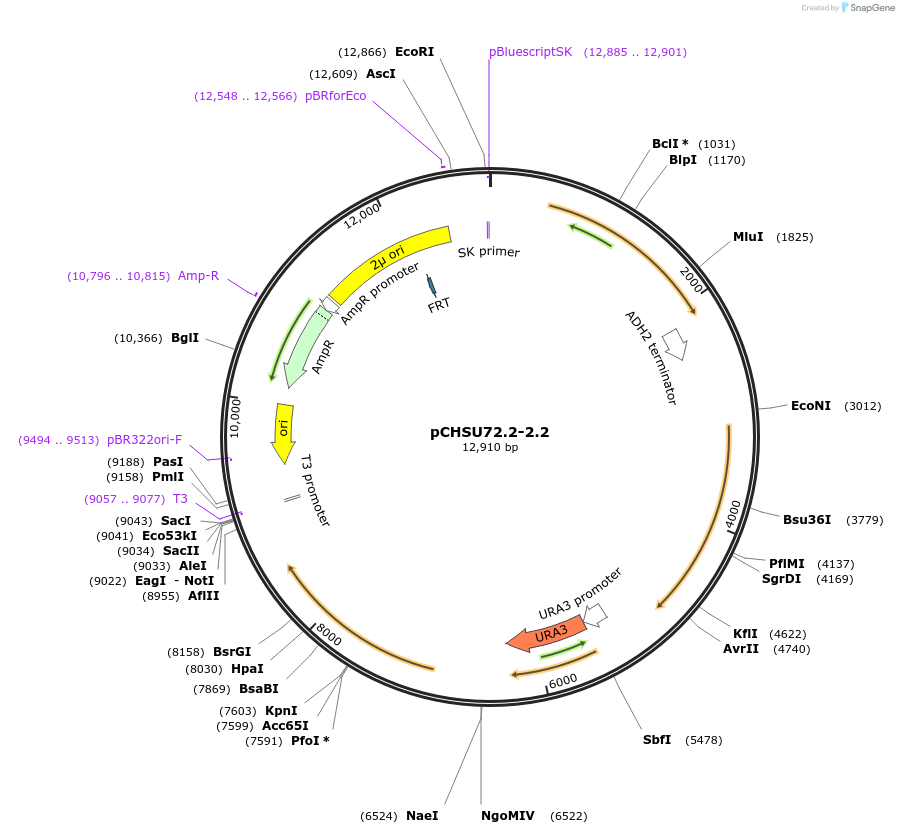 208213_map