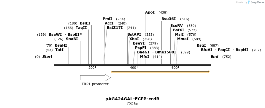 20822_map