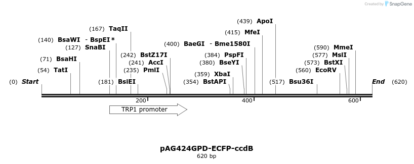 20824_map