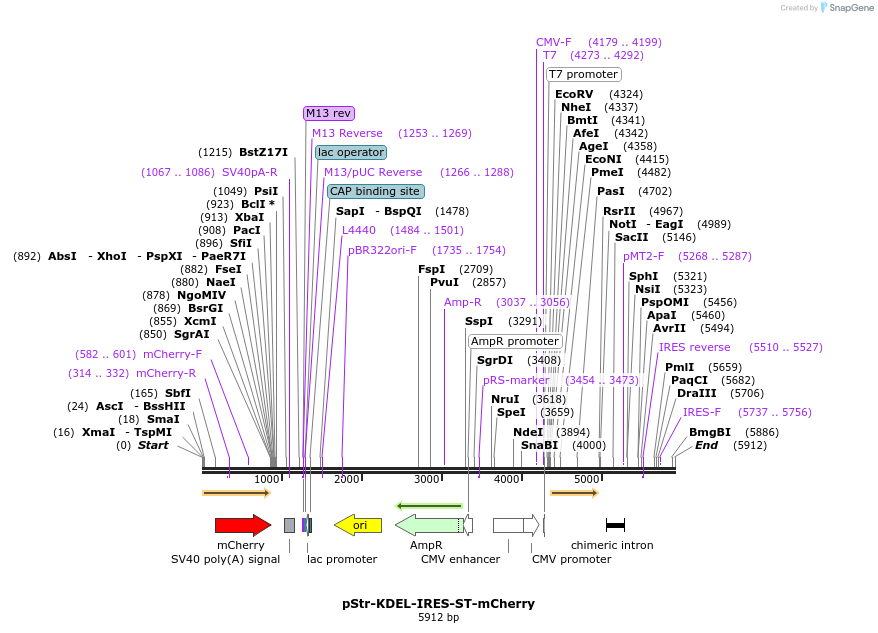 208249_map