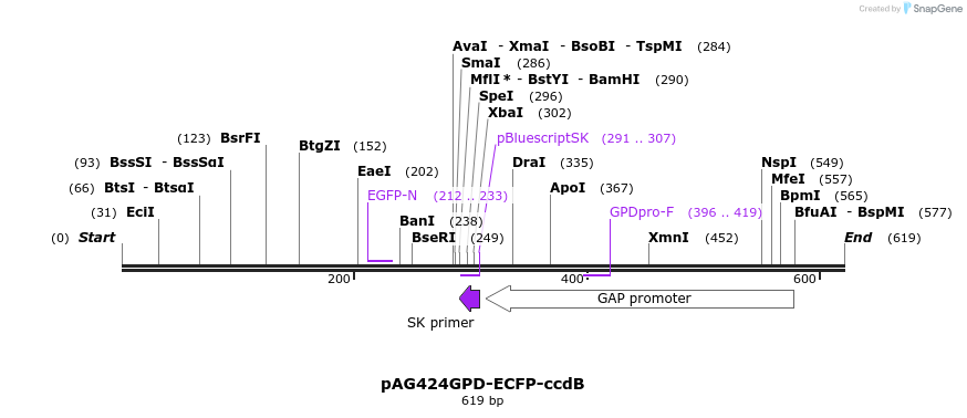 20825_map