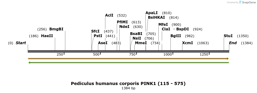 208253_map