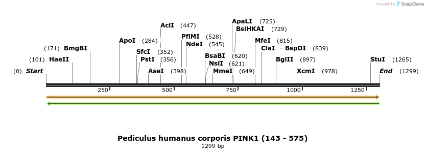 208254_map