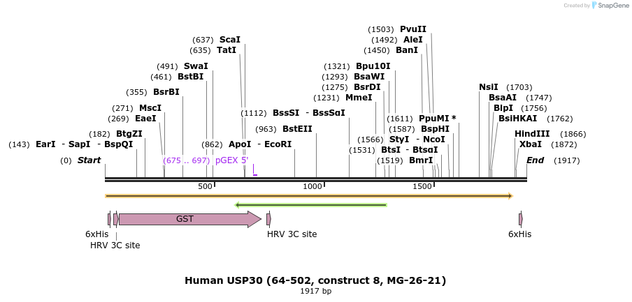 208256_map