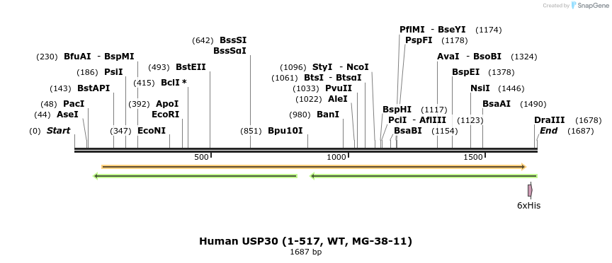 208259_map