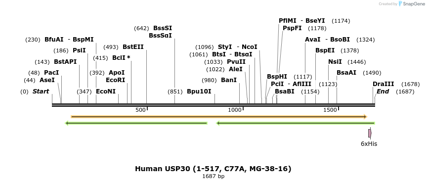 208260_map