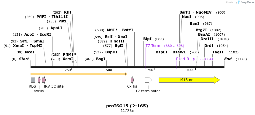 208264_map