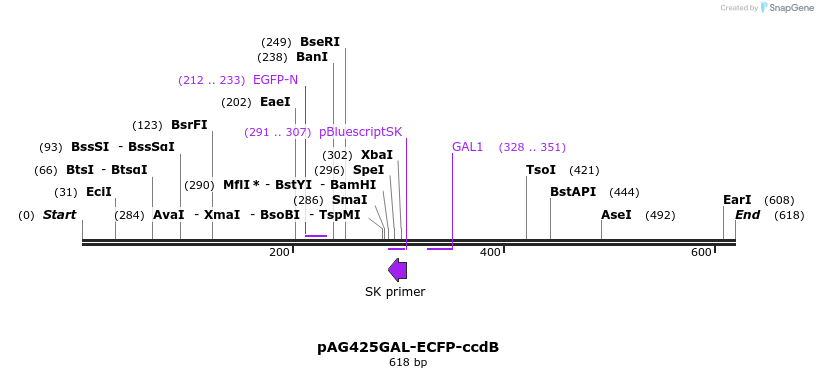 20827_map