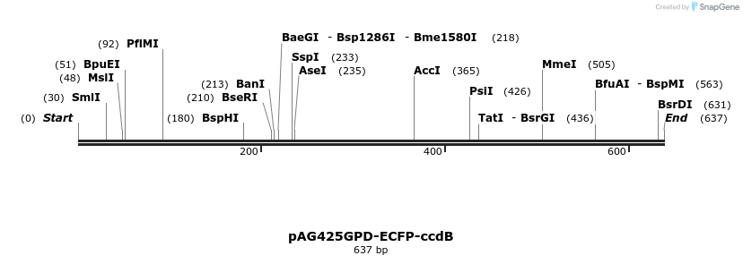 20828_map