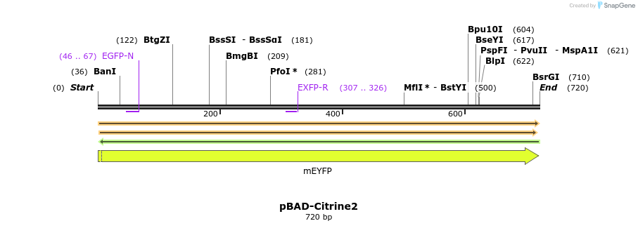 208286_map
