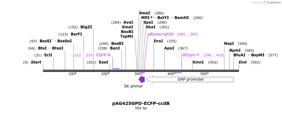 20829_map