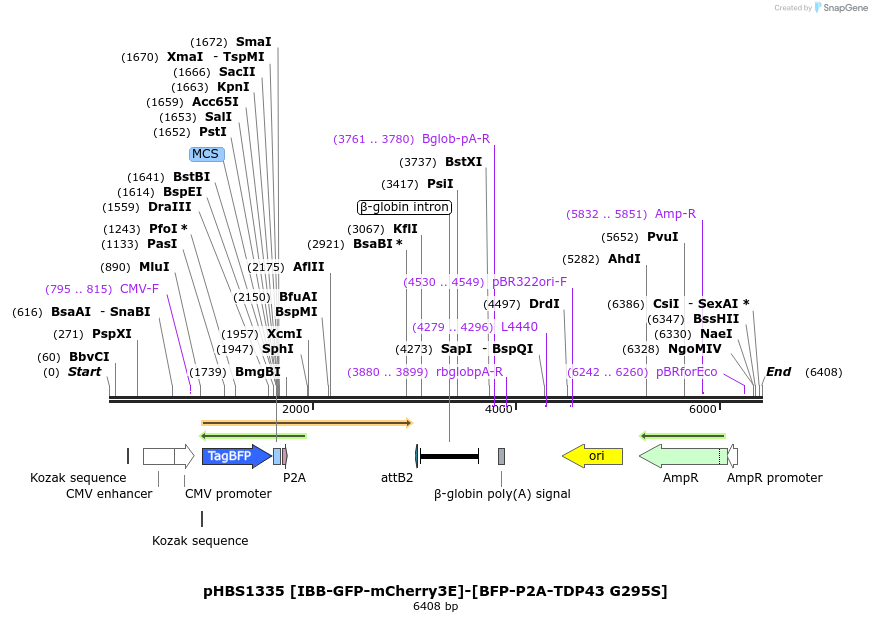 208299_map