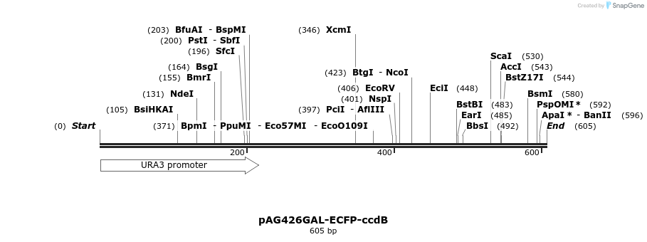 20830_map