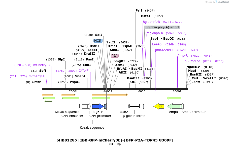 208304_map