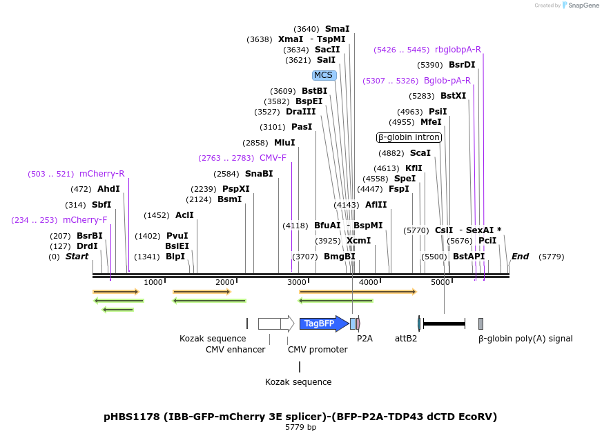 208309_map