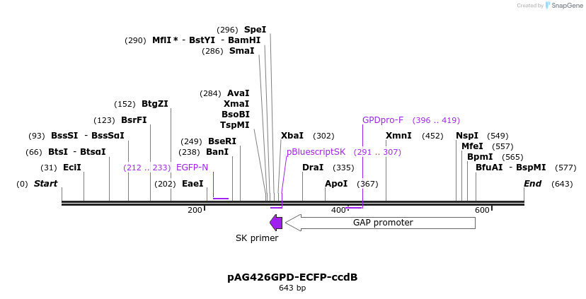 20833_map