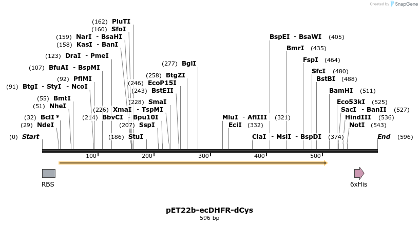 208332_map